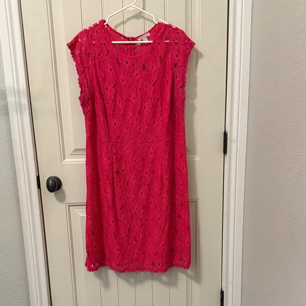 Dress Barn Pink Lace Dress
